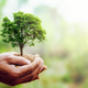 Illustration for article titled Eco-news from Namibia